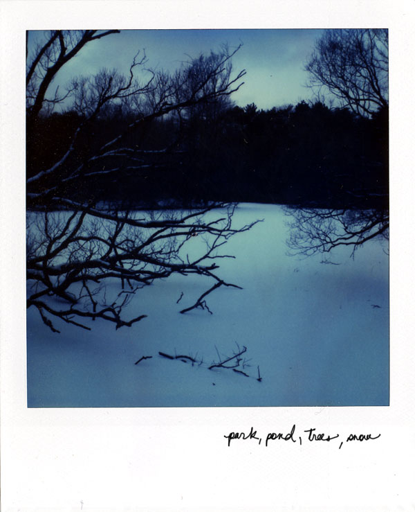 park_pond_trees_snow.jpg